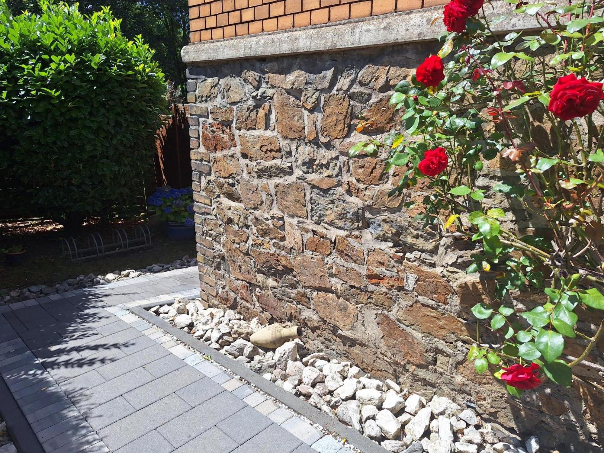 Apartamento Reif&Buffi Lahnstein Exterior foto